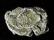 Wind Rock