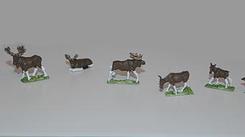 Moose family