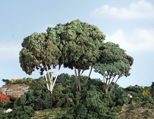 Forest Canopy - Medium Green